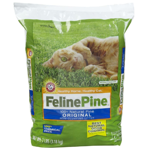 What Causes Cat Asthma and How to Treat It Preventive Vet